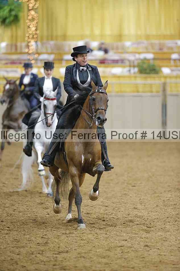 Proof 14usn_05053