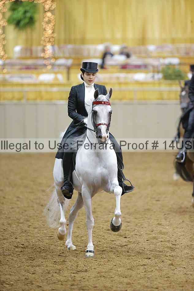 Proof 14usn_05055
