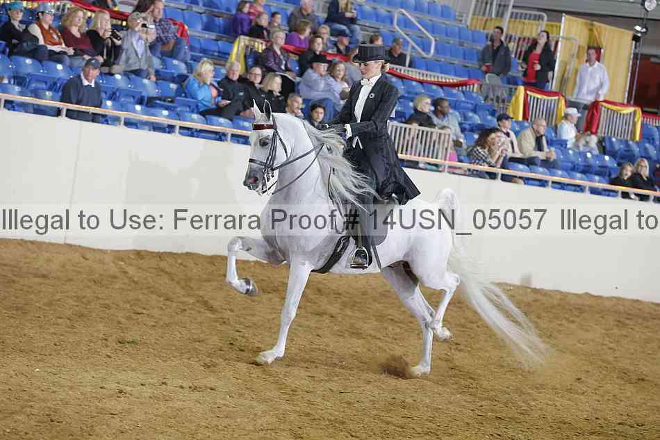 Proof 14usn_05057
