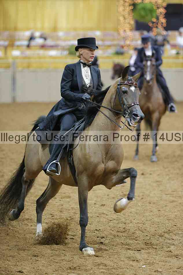 Proof 14usn_05058