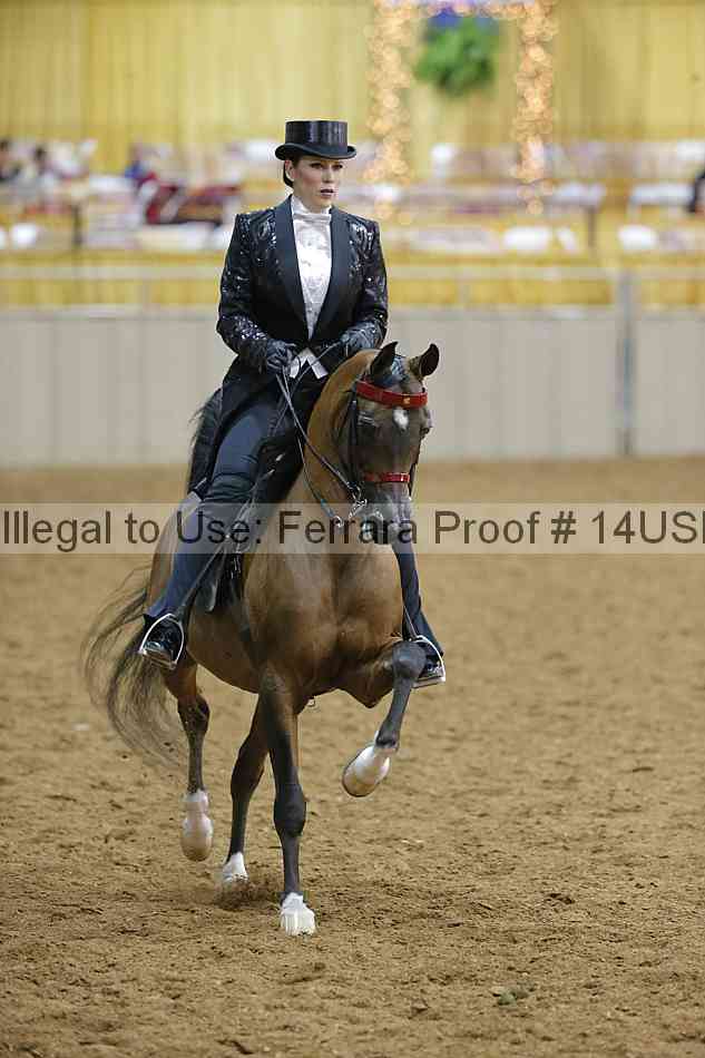 Proof 14usn_05073
