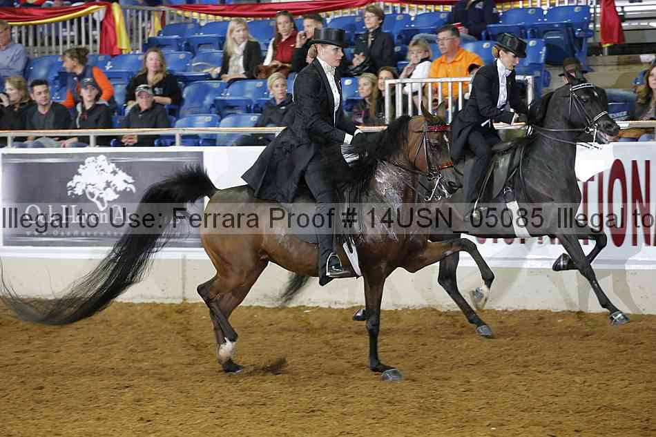 Proof 14usn_05085