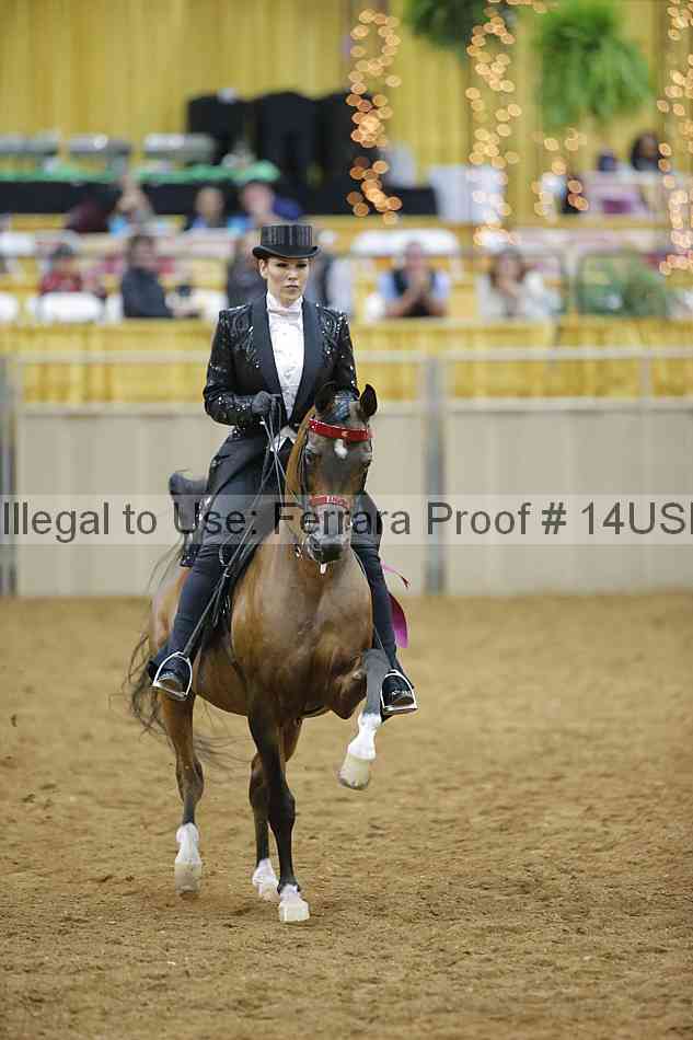 Proof 14usn_05148