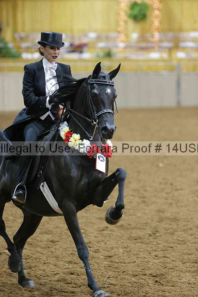Proof 14usn_05204