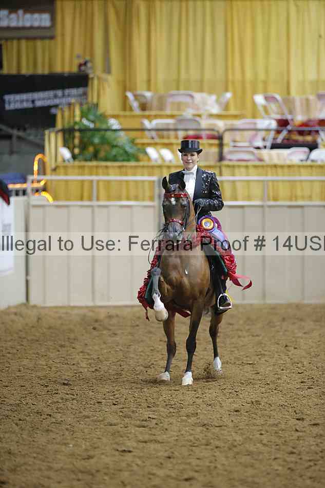 Proof 14usn_05210