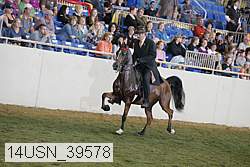 14usn_39578 proof