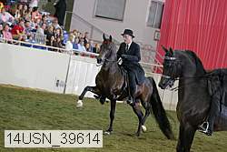 14usn_39614 proof