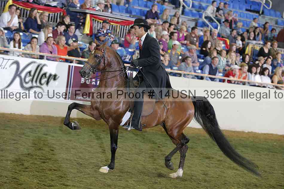 Proof 14usn_39626