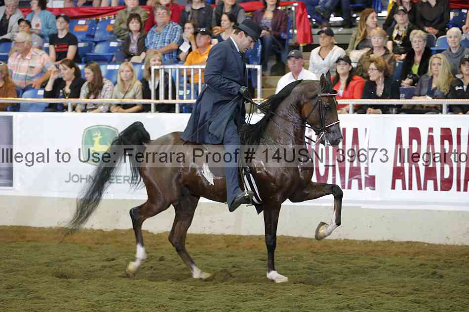 Proof 14usn_39673