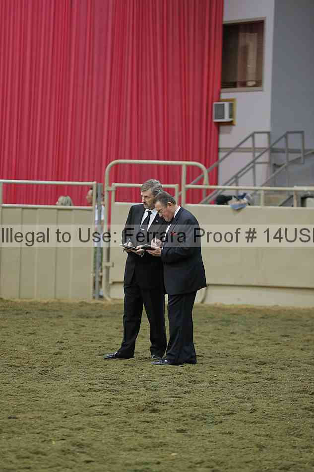 Proof 14usn_39687