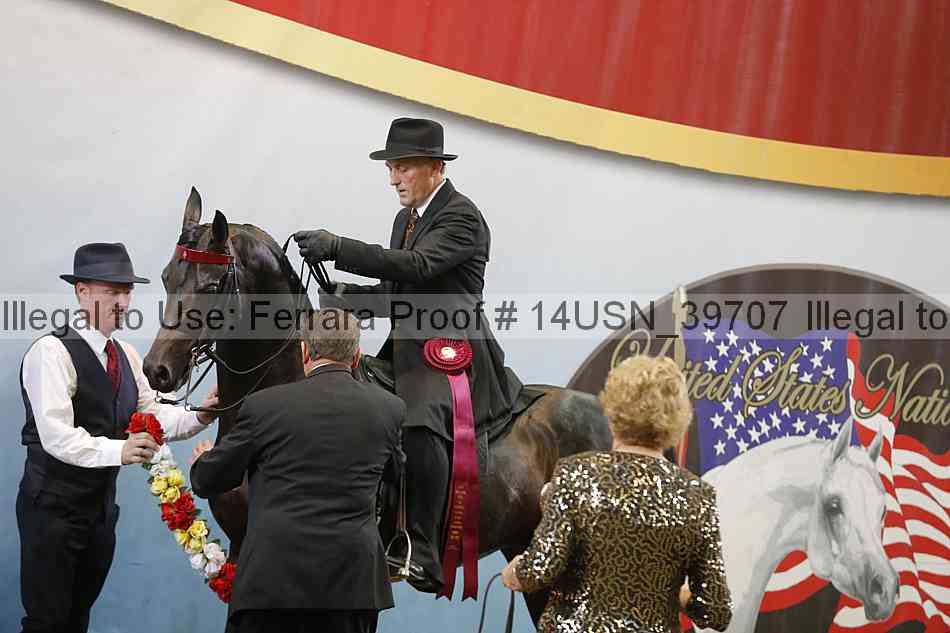 Proof 14usn_39707