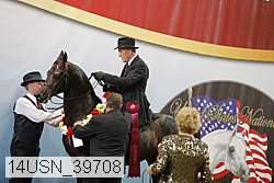 14usn_39708 proof