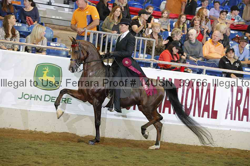Proof 14usn_39766