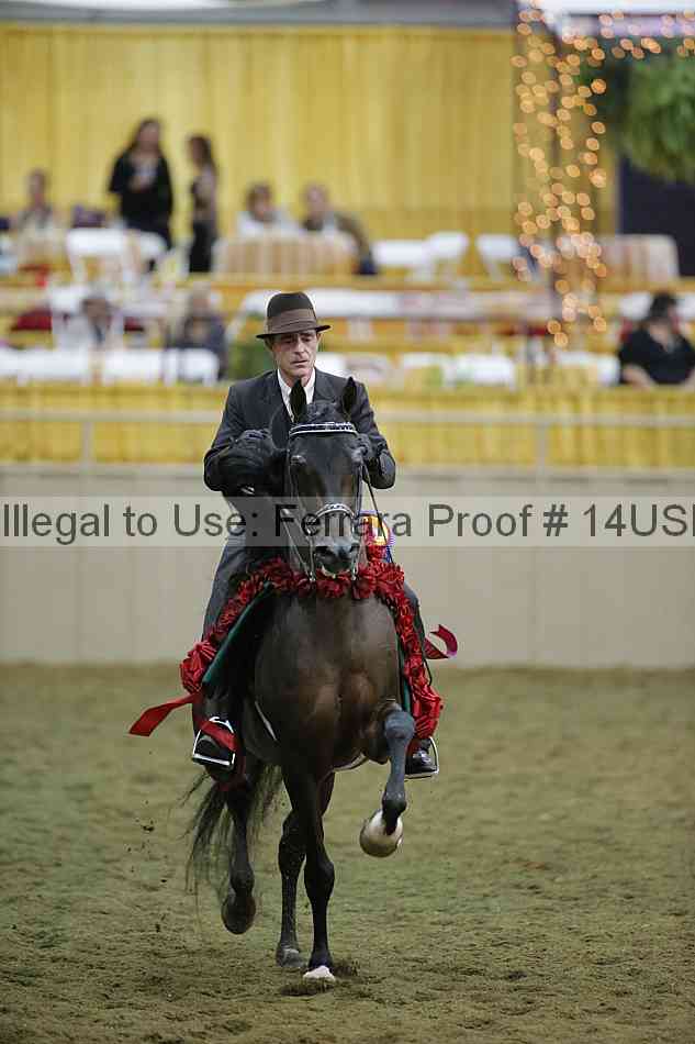 Proof 14usn_39823