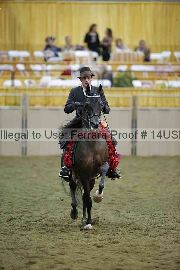 Proof 14usn_39826