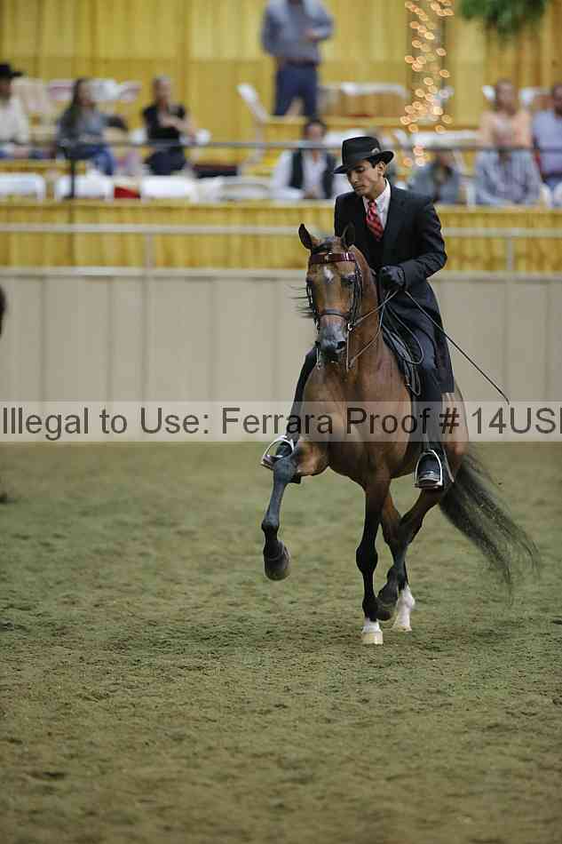 Proof 14usn_39841