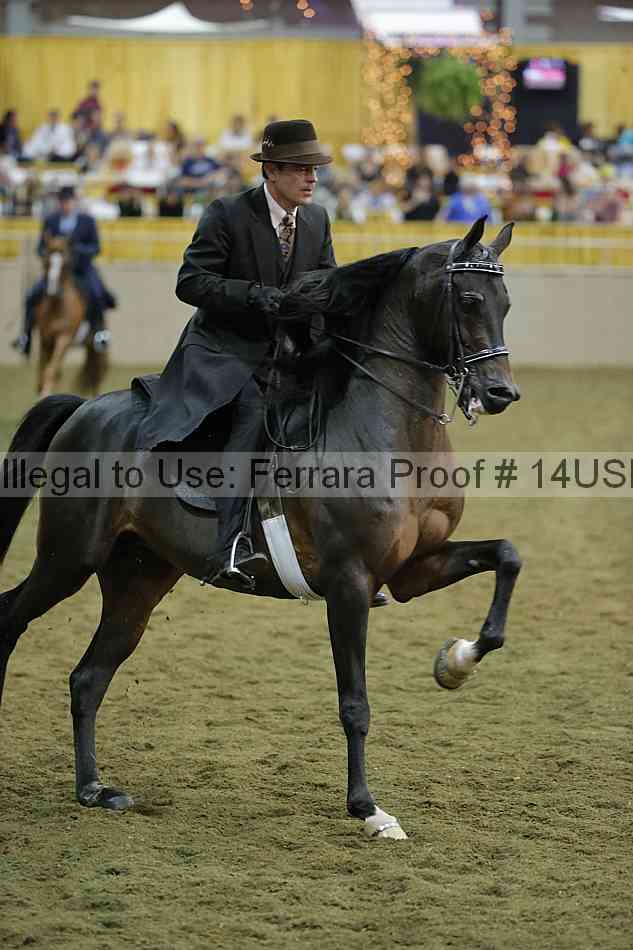 Proof 14usn_39844