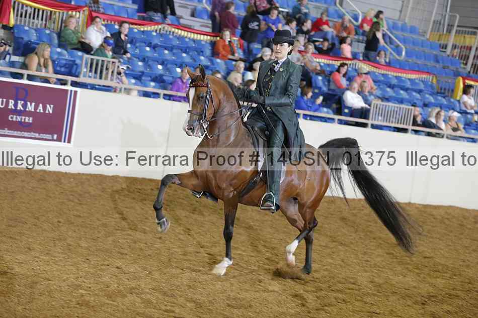 Proof 14usn_01375