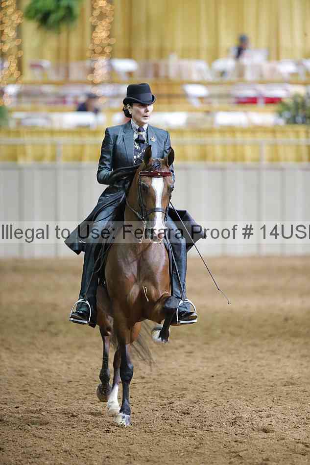 Proof 14usn_01376