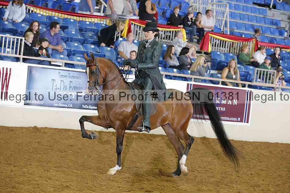 Proof 14usn_01381