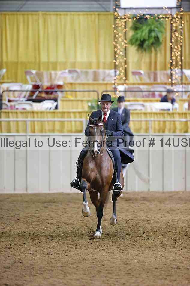 Proof 14usn_01382