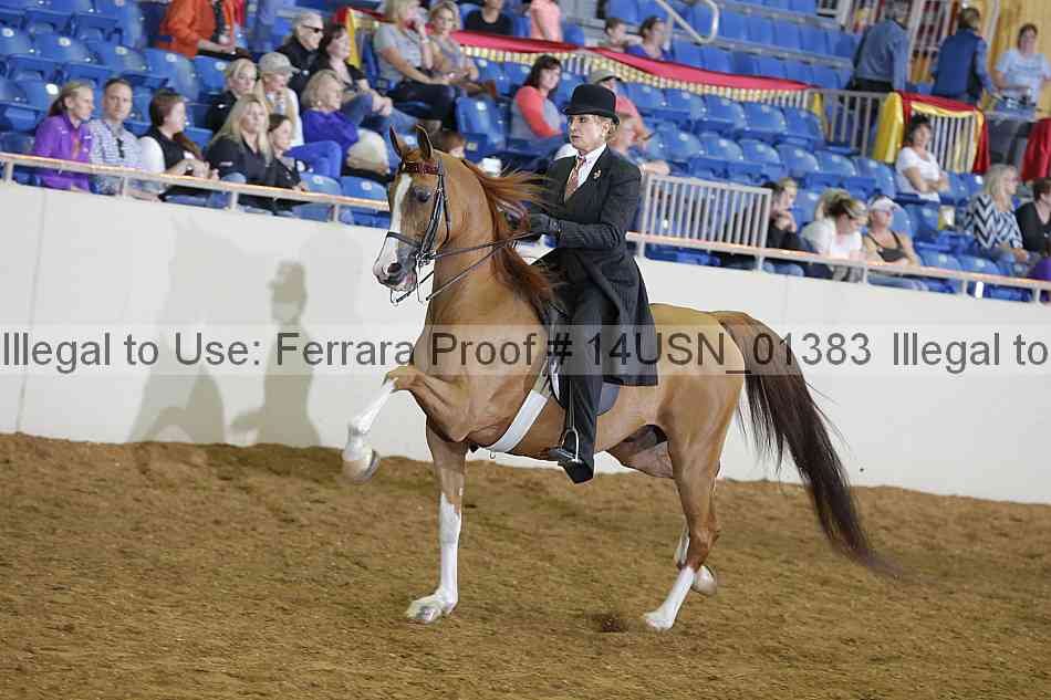 Proof 14usn_01383