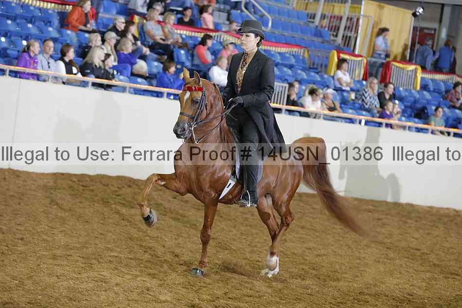 Proof 14usn_01386