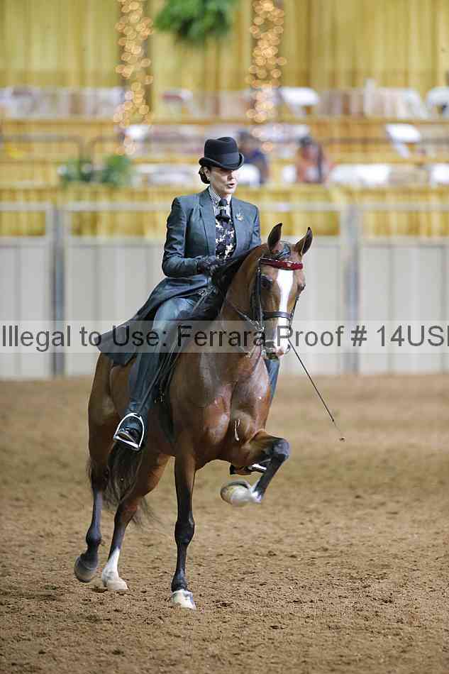 Proof 14usn_01388