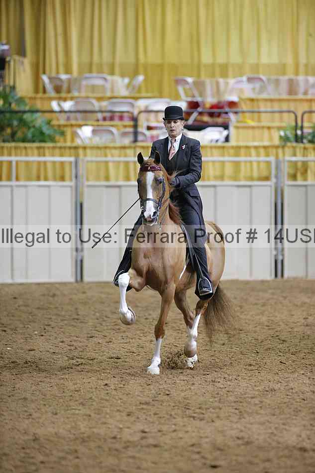 Proof 14usn_01390
