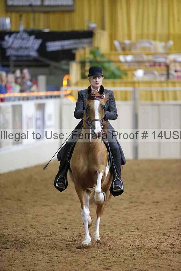 Proof 14usn_01392