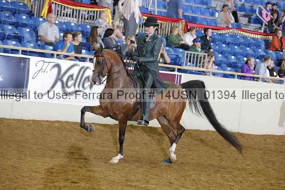 Proof 14usn_01394