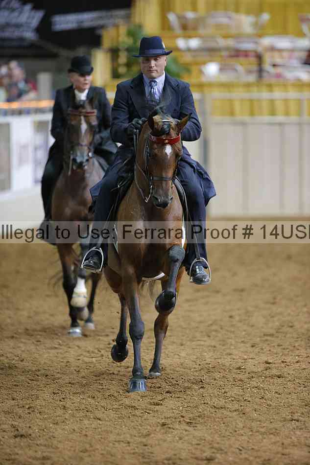 Proof 14usn_01395