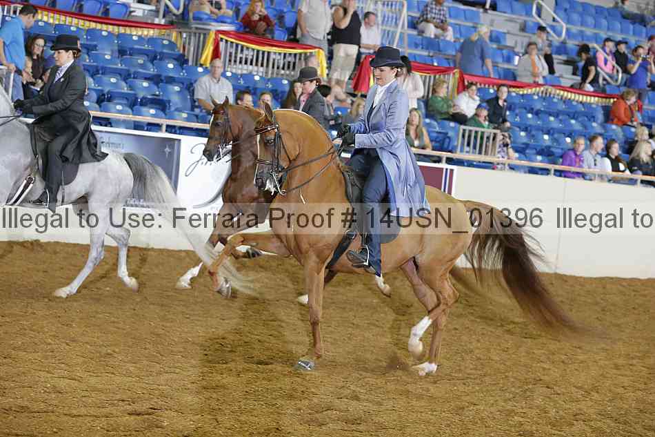 Proof 14usn_01396