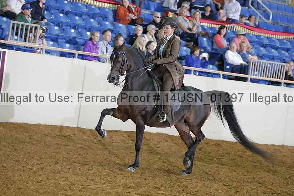 Proof 14usn_01397
