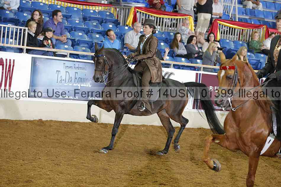 Proof 14usn_01399