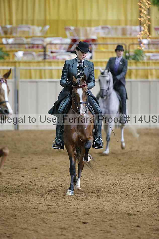 Proof 14usn_01400