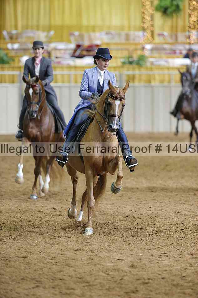 Proof 14usn_01403