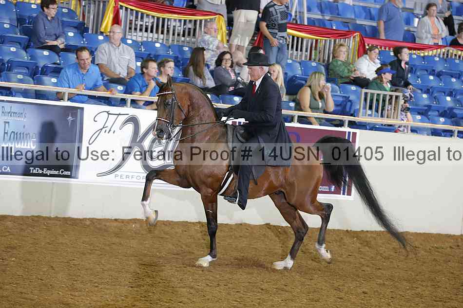 Proof 14usn_01405