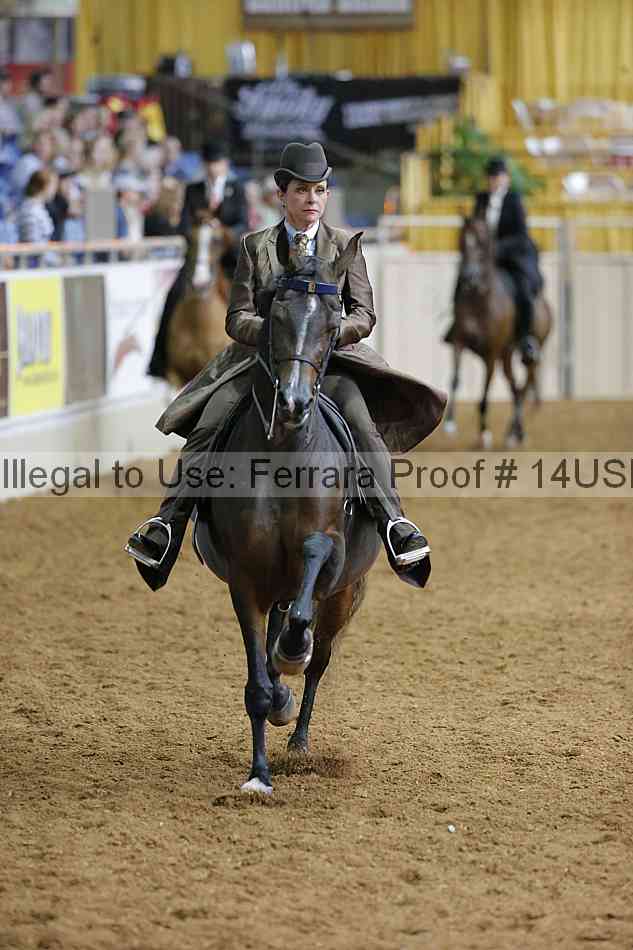 Proof 14usn_01406