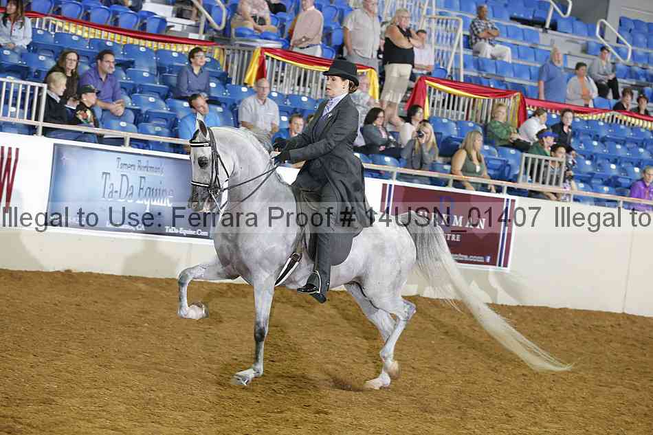 Proof 14usn_01407