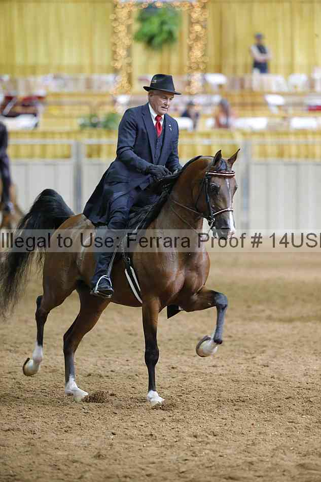 Proof 14usn_01409