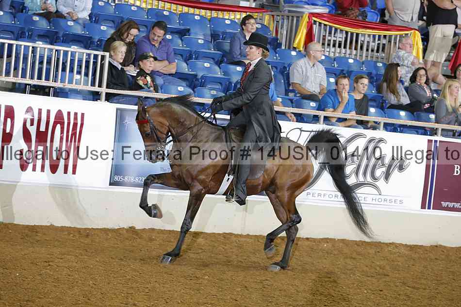 Proof 14usn_01410