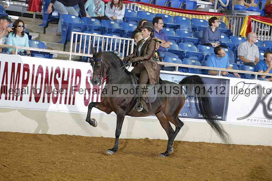 Proof 14usn_01412