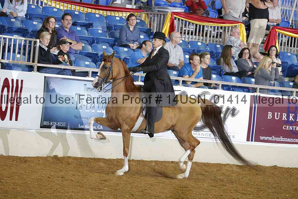 Proof 14usn_01414