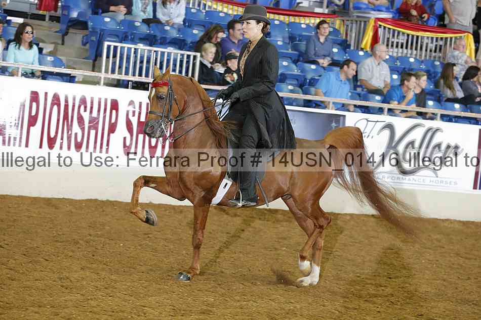 Proof 14usn_01416