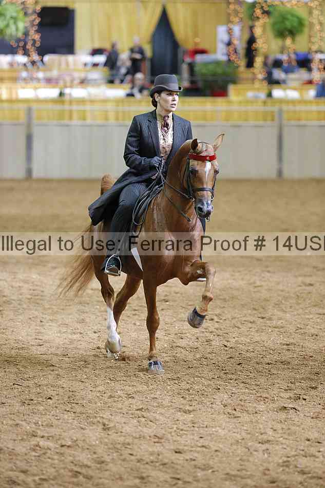 Proof 14usn_01419