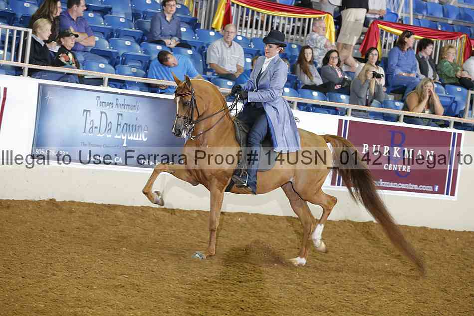 Proof 14usn_01421