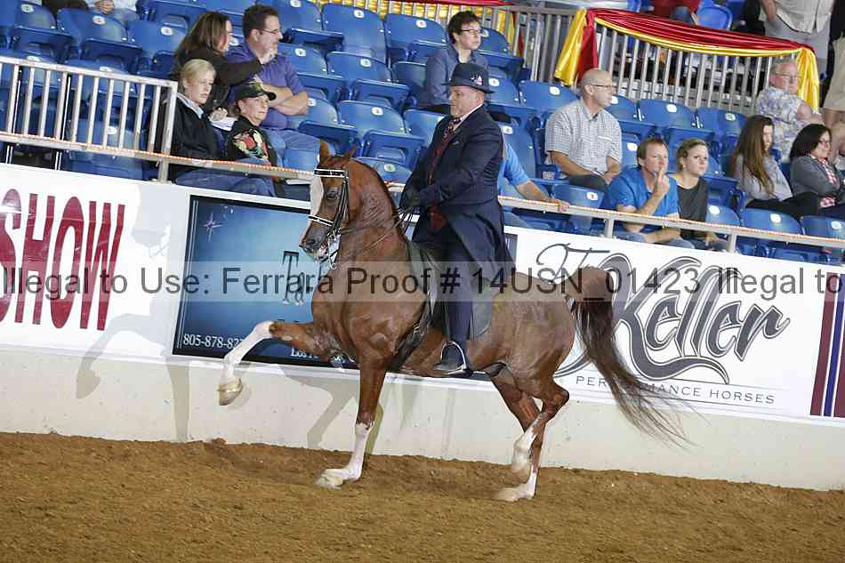 Proof 14usn_01423