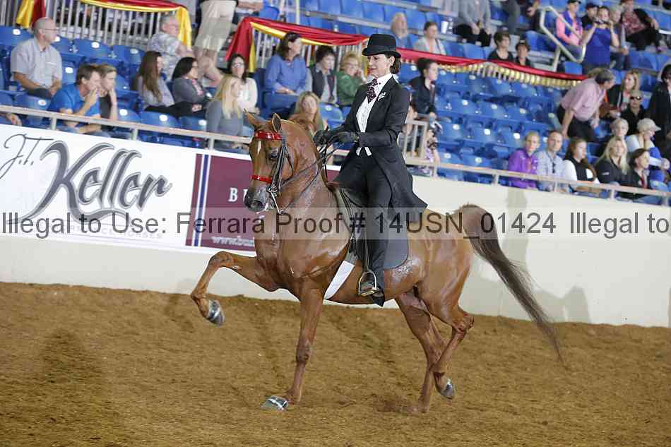 Proof 14usn_01424