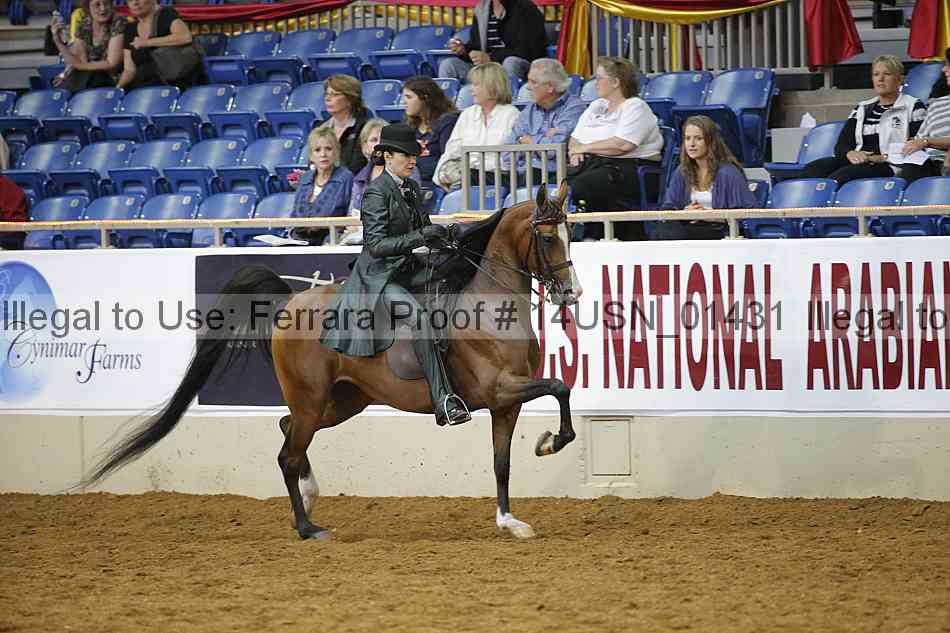 Proof 14usn_01431